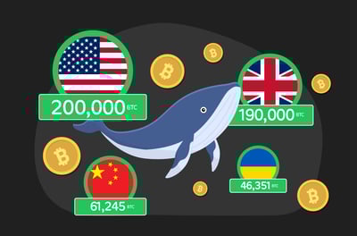 أكبر حيتان بيتكوين من الدول